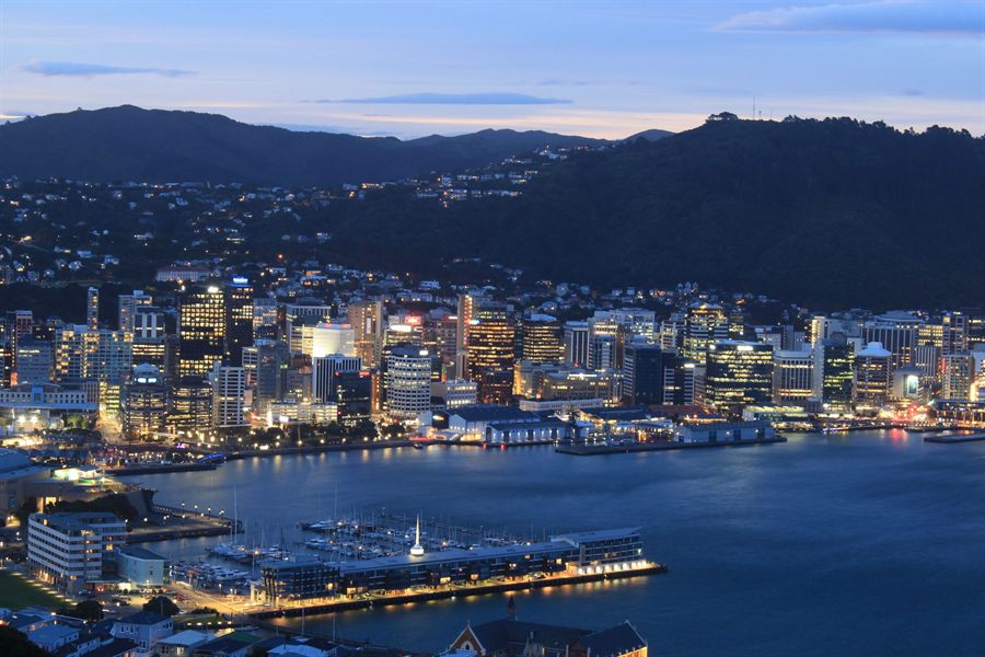 Wellington harbor and city lights at dusk below wooded hills
